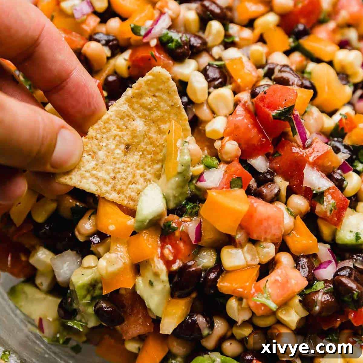 Texas caviar (diced tomatoes, peppers, beans, cilantro, and onion) in a glass bowl with a hand dipping a tortilla chip into the cowboy caviar recipe.